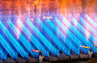 Haunn gas fired boilers